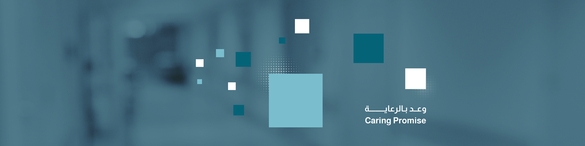 نظرة عامة على المجموعة